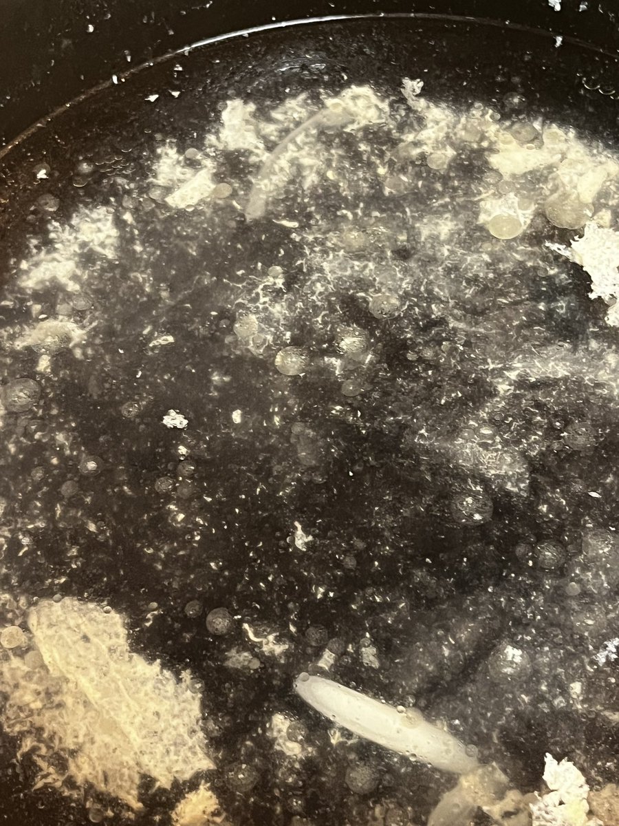 okazu-nori01 tweet media