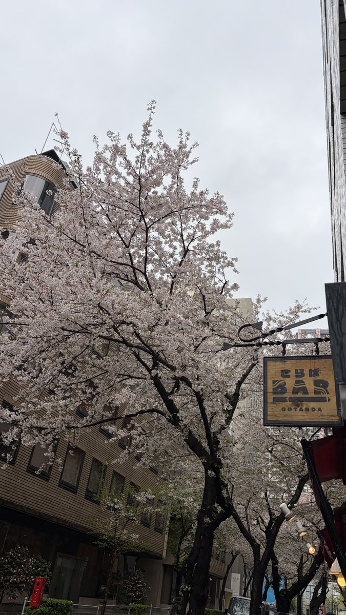 さらばBAR 五反田店 tweet media