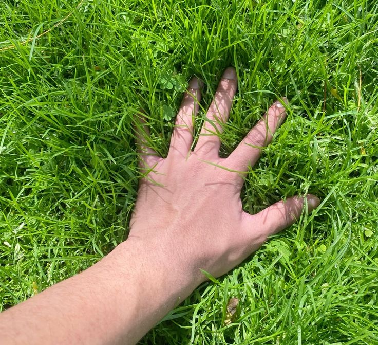 𝗚.𝗢.𝗔.𝗧 👾 tweet media