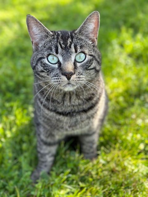 Simon Hazzard tweet media