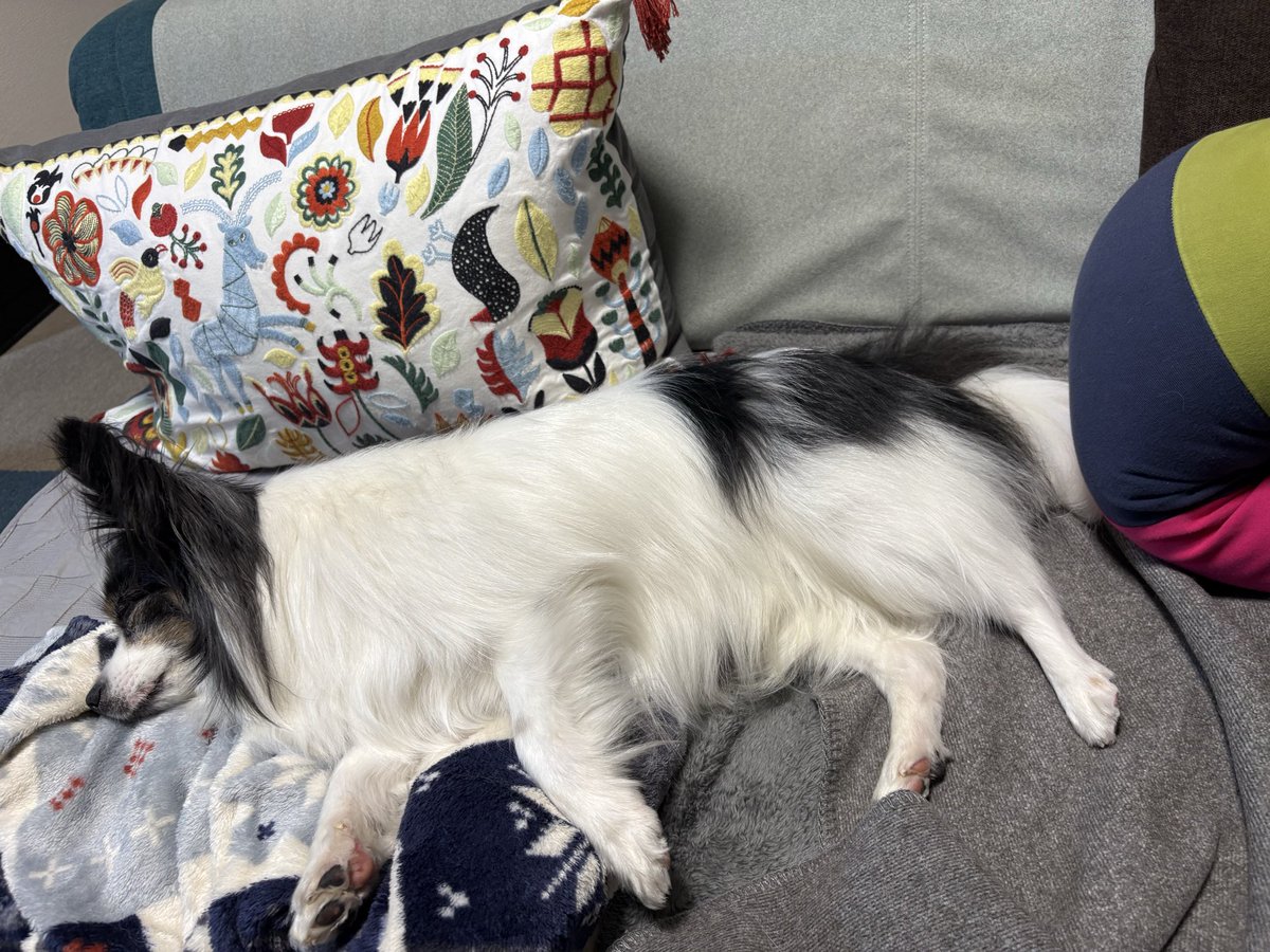 雨だもの、寝るしかないわよ