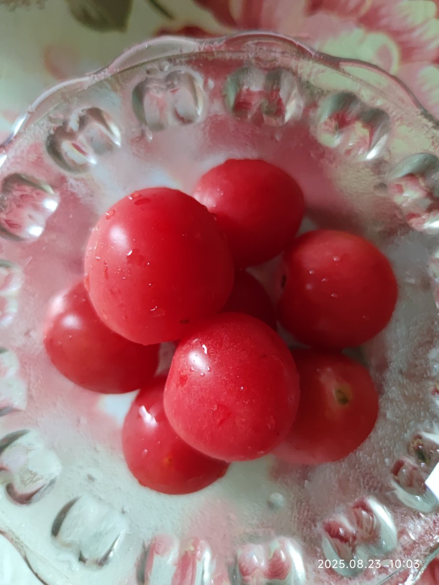 Erica Marks tweet media