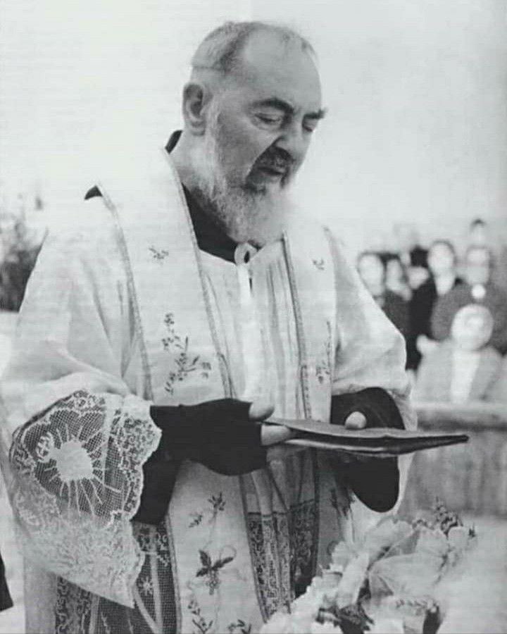 Catholic Quotes tweet media