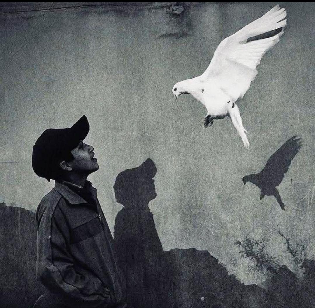 EMMANUEL 💫👷 tweet media