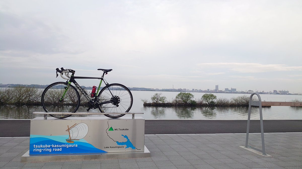 鮭ハラス tweet media