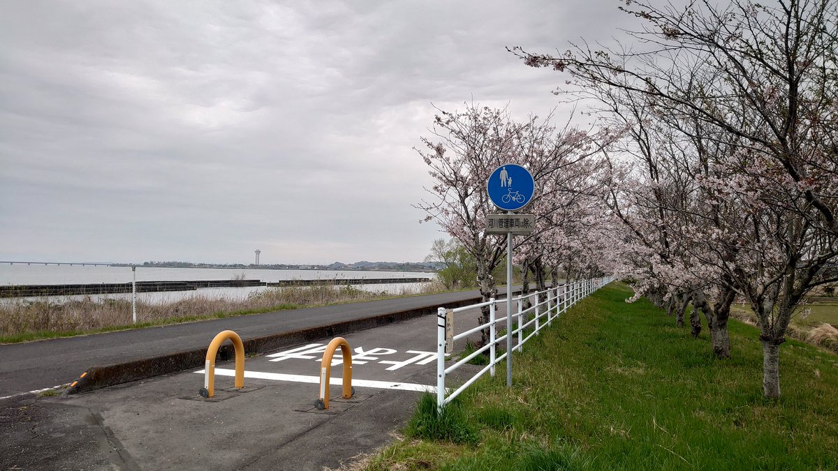 鮭ハラス tweet media