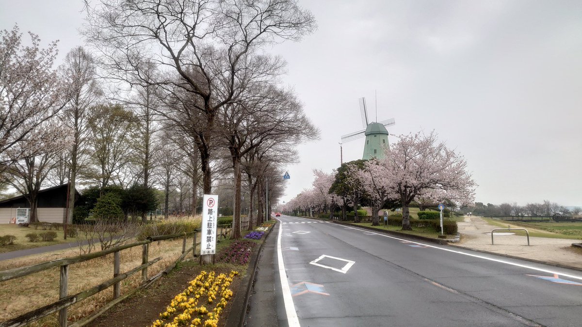 鮭ハラス tweet media