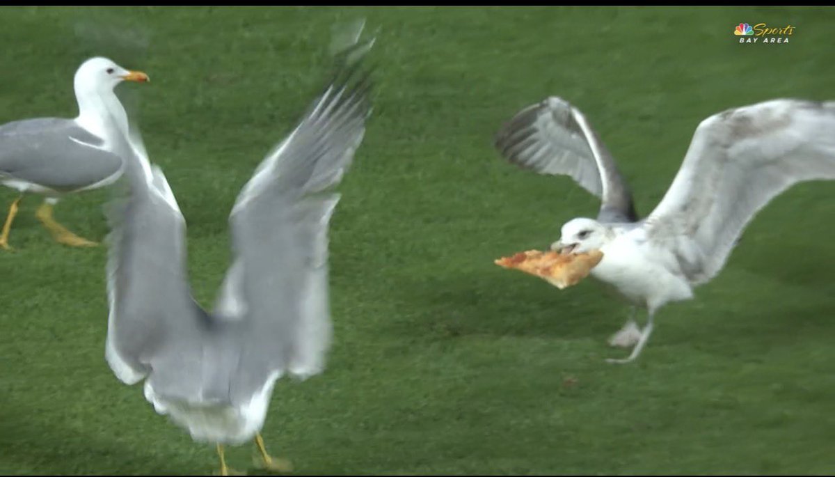 no context giants tweet media