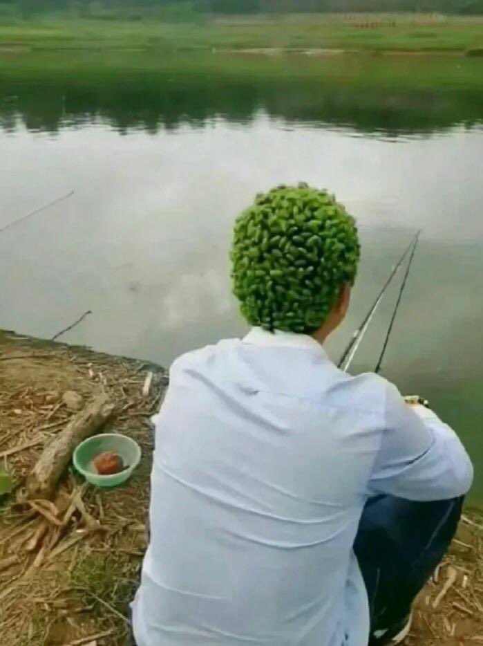 ネットで話題のツイ図鑑 tweet media