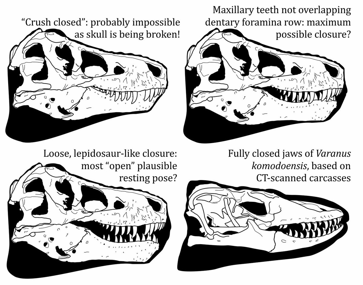 ‘EWA WAHINE’ONIUHINUI (she/they/it) 🦈 tweet media