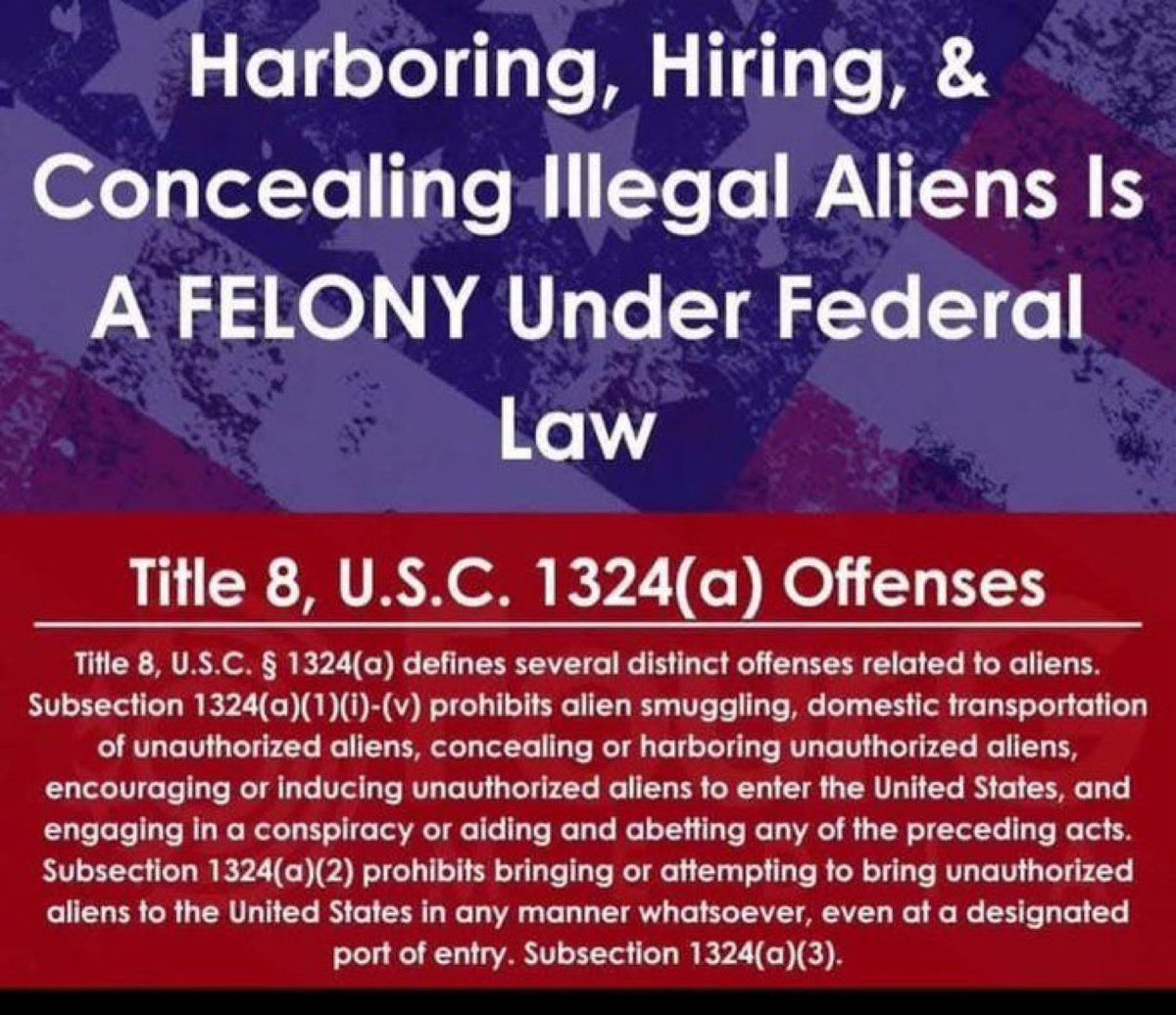 Sonsie Baby tweet media