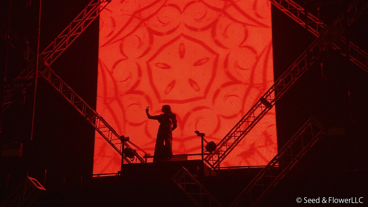 Lemino｜レミノ tweet media