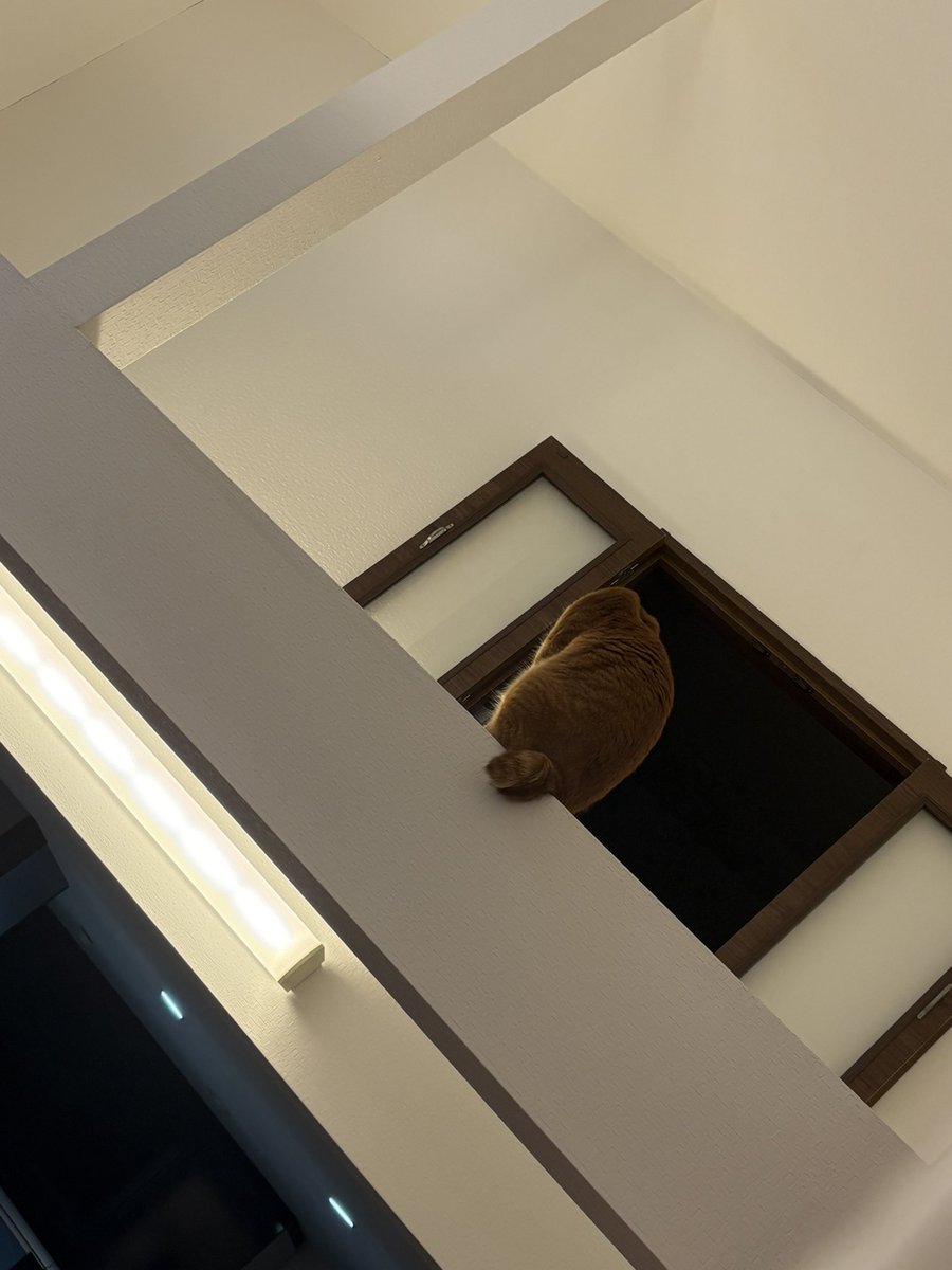 うさぎもち tweet media