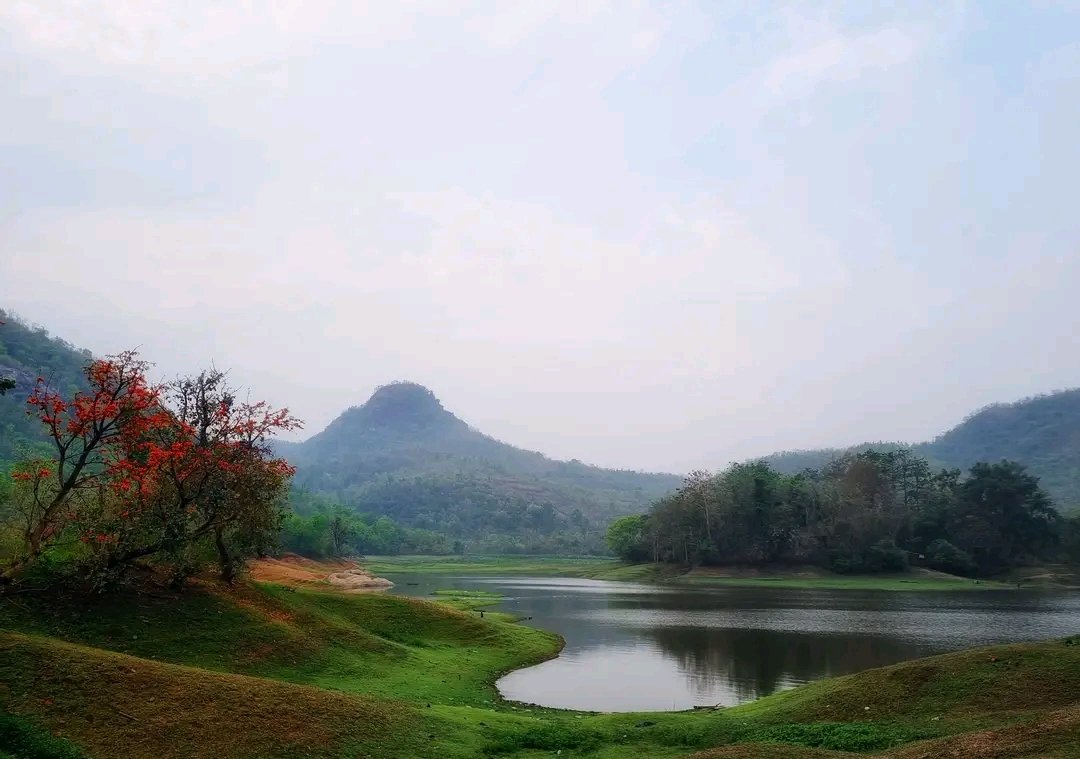 Bengal's untold tales tweet media