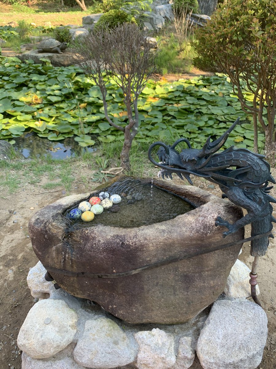 地元フェス tweet media