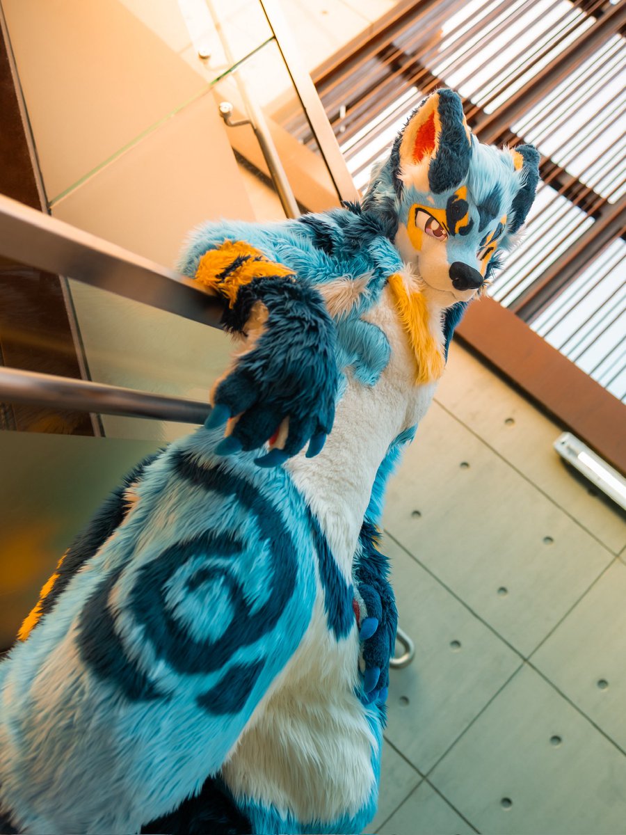 类 Lèi (レー) 🔜UTFG tweet media