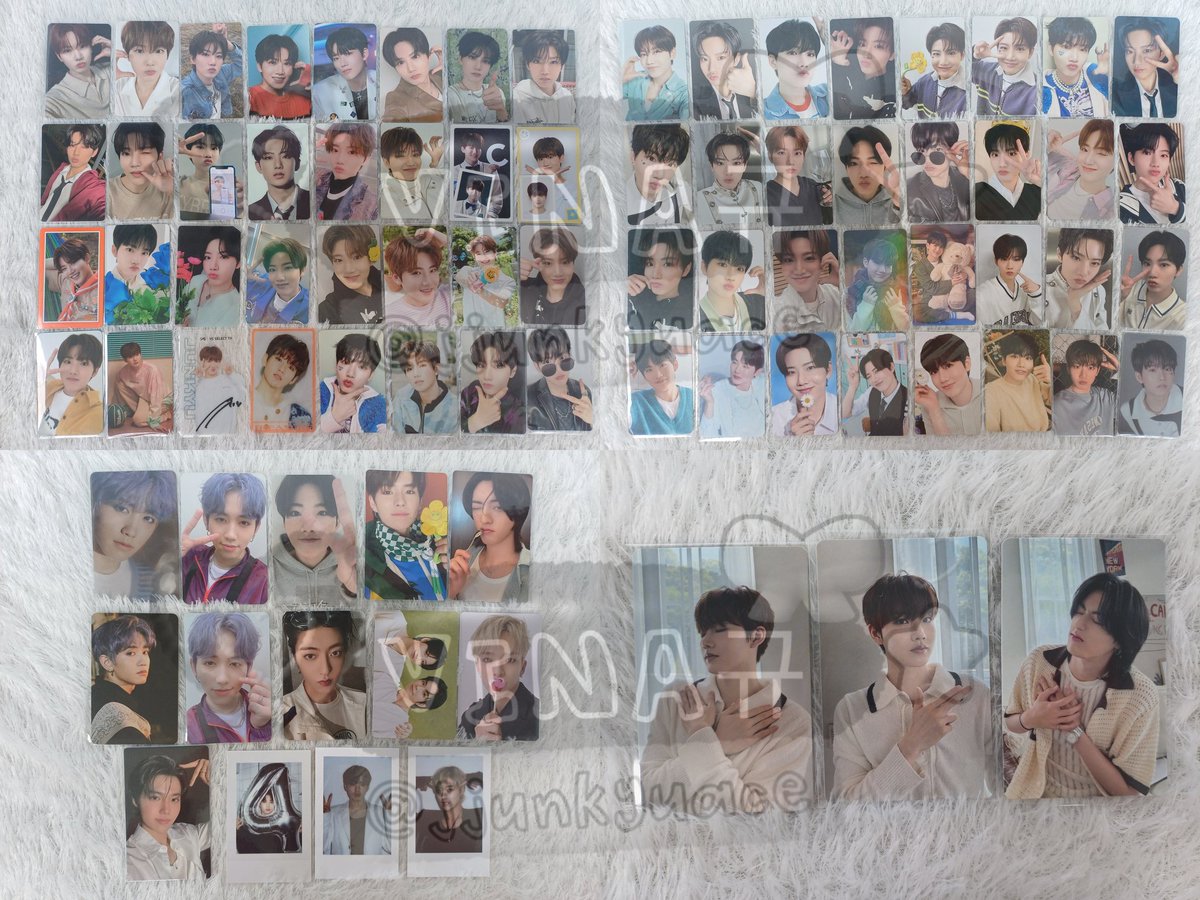 𝗩𝗜𝗡𝗔규🐨 tweet media