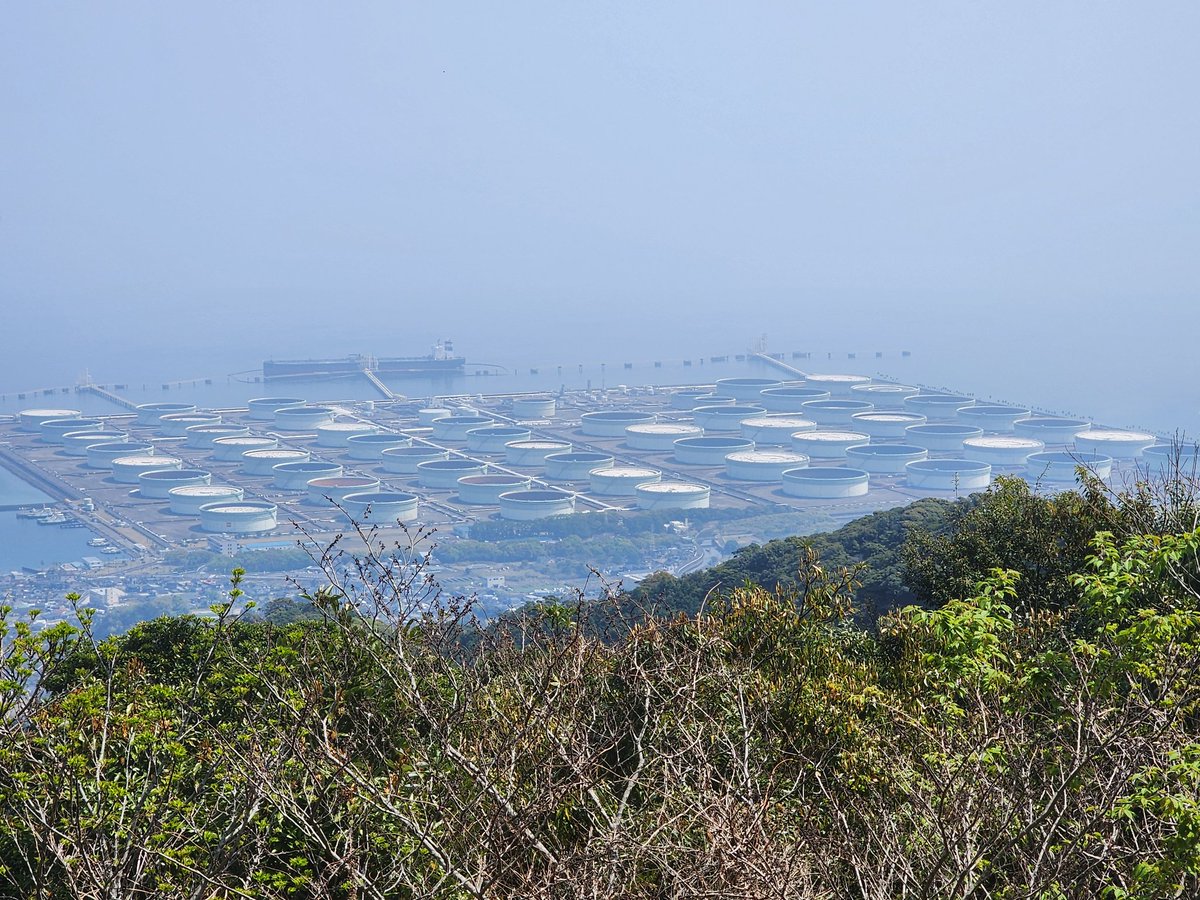 大吟醸船長 tweet media