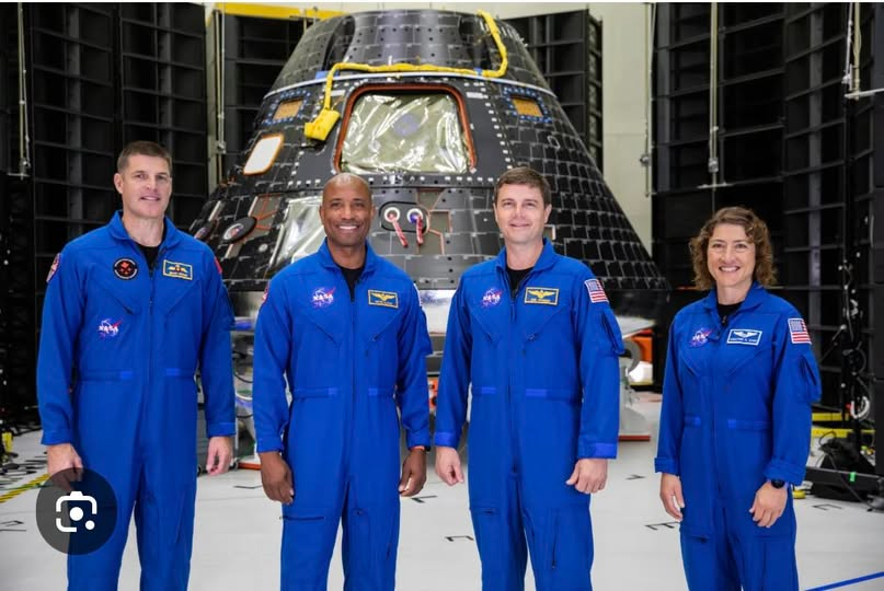 Mr. Nobody tweet media