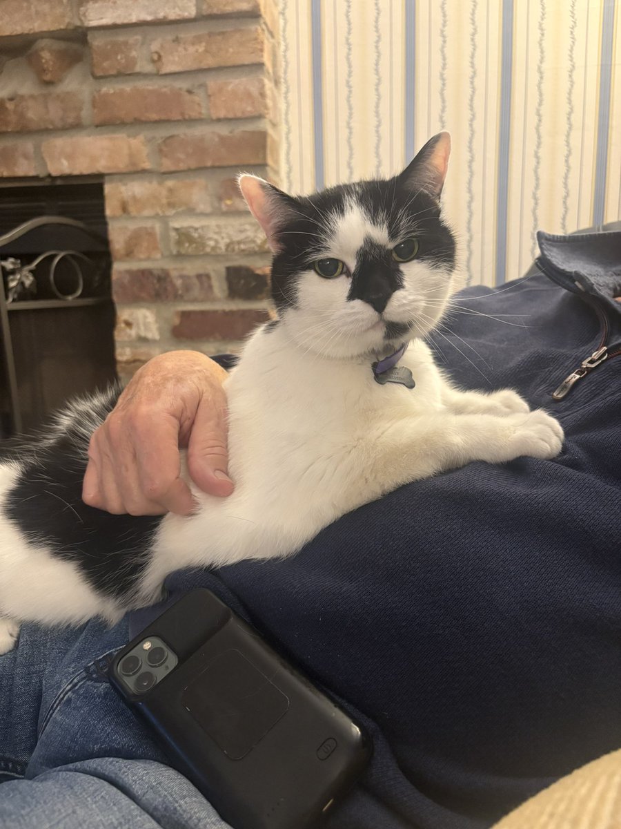 emily bengaltiger 🐈‍⬛ ⚾️ tweet media