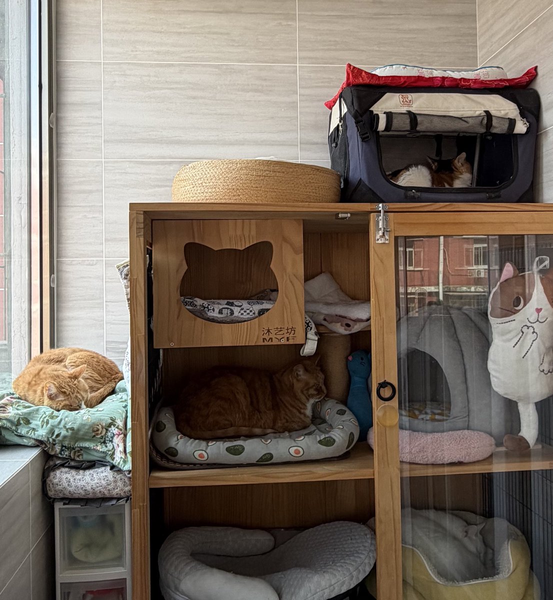 冰比冰水冰 tweet media