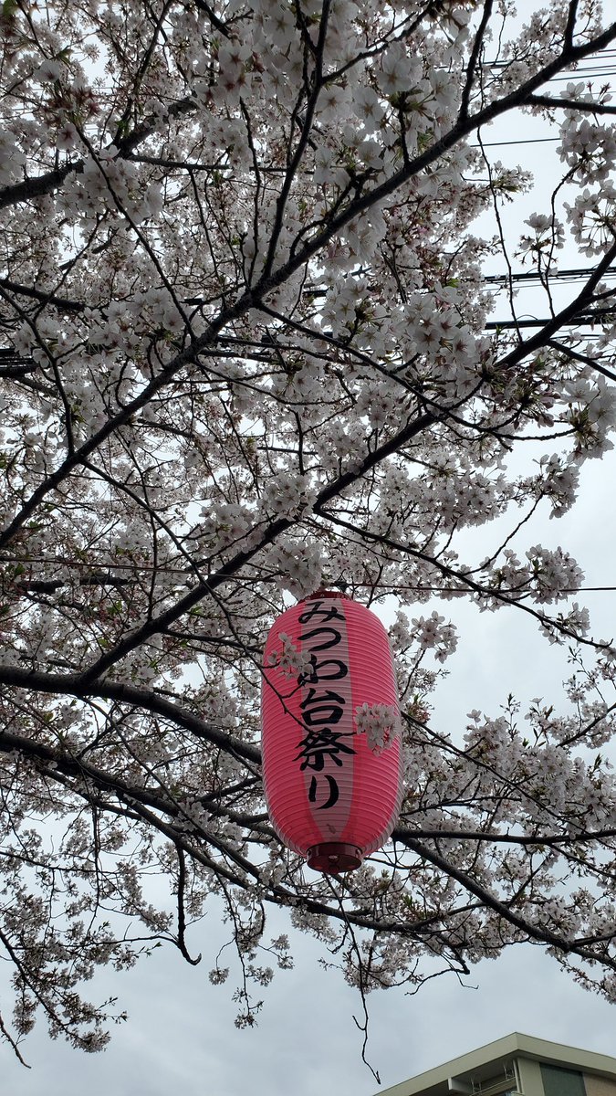 ★pirokun☆ tweet media