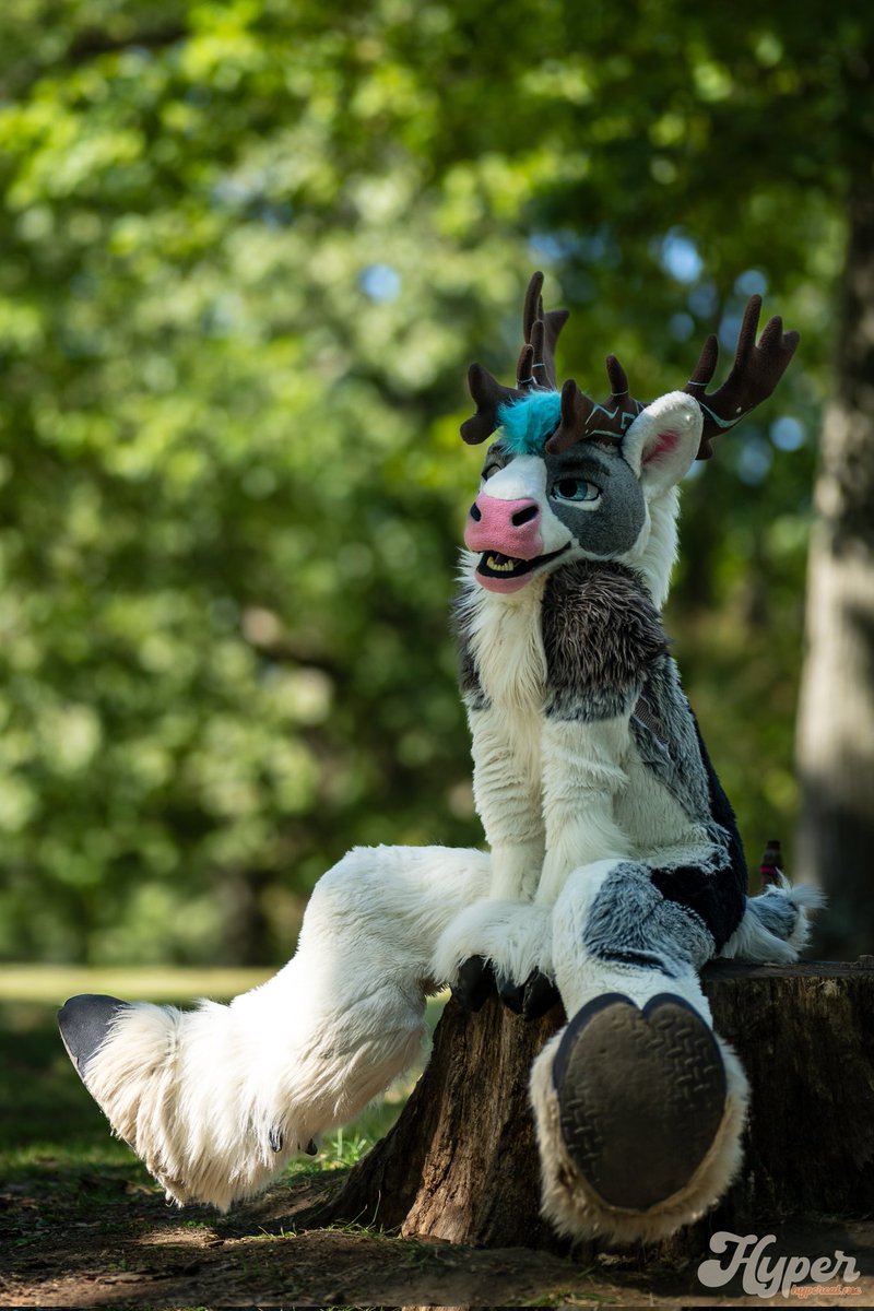 Røͩʀͤᴇͤᴋͬ 🔜 TFF tweet media