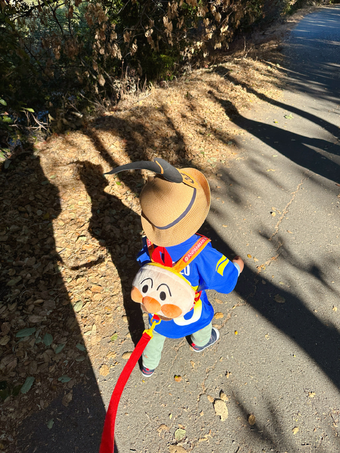 Lacey Shumaker tweet media