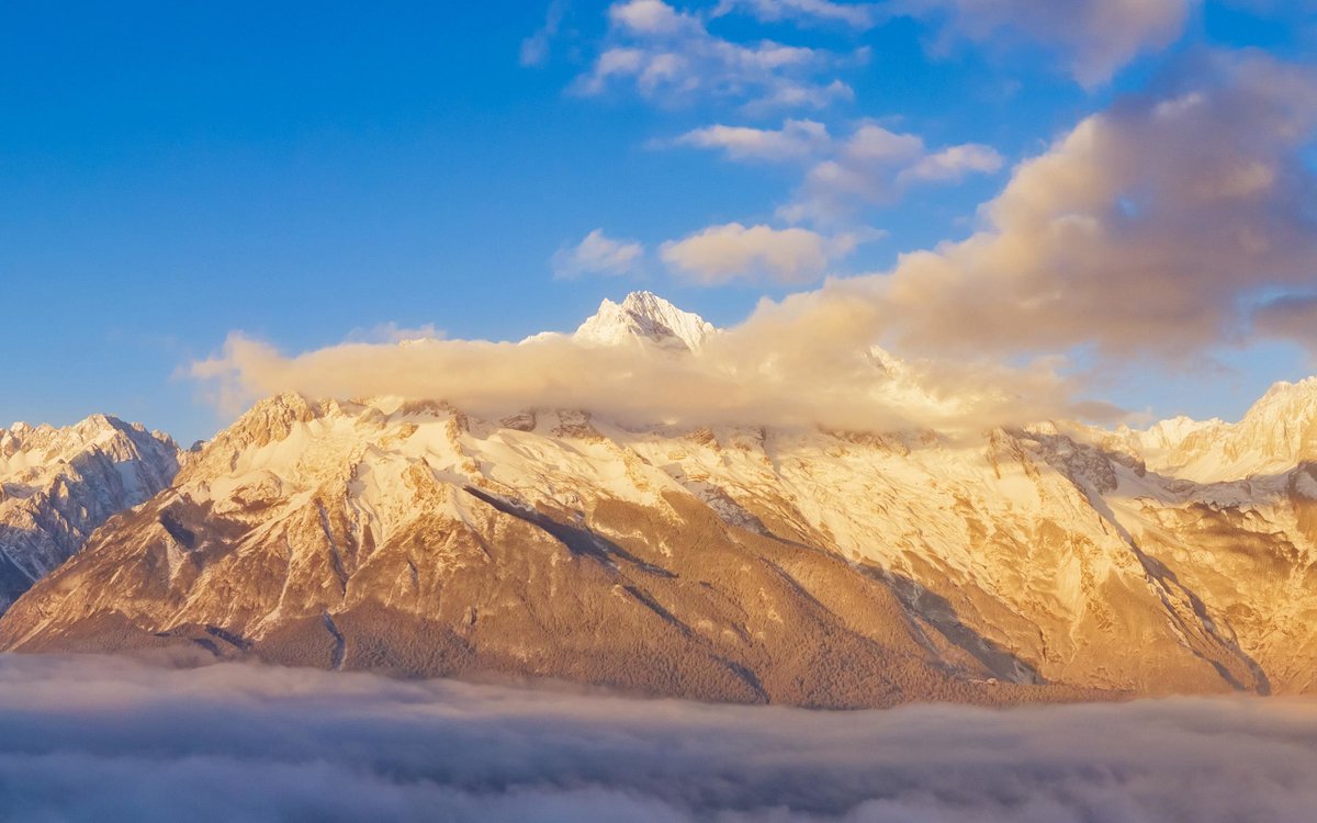 Kelly Eaton tweet media