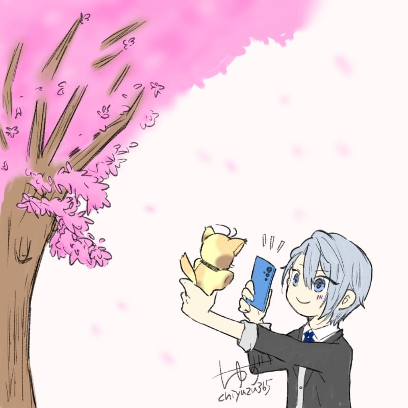 千柚🐬 tweet media