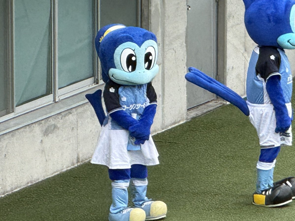 つっきー🌙 tweet media