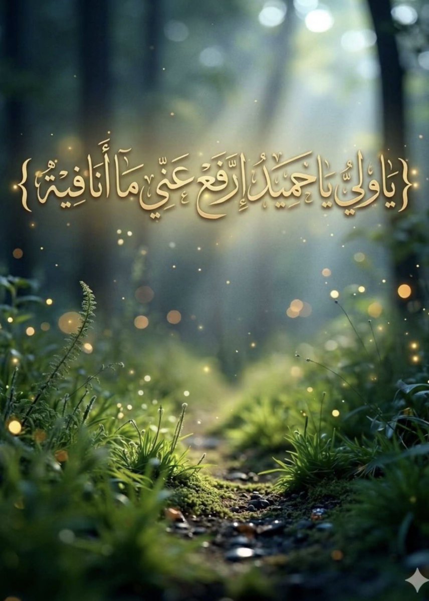 فاطمة 963🐆🦚💰👑 tweet media