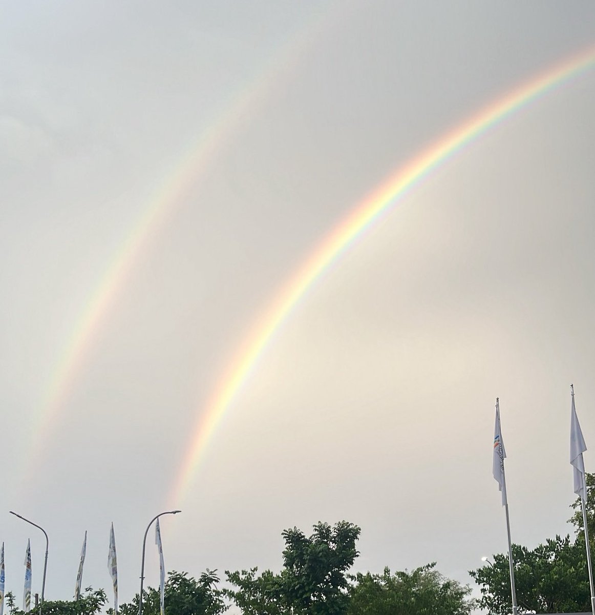 alya.☾⋆ tweet media