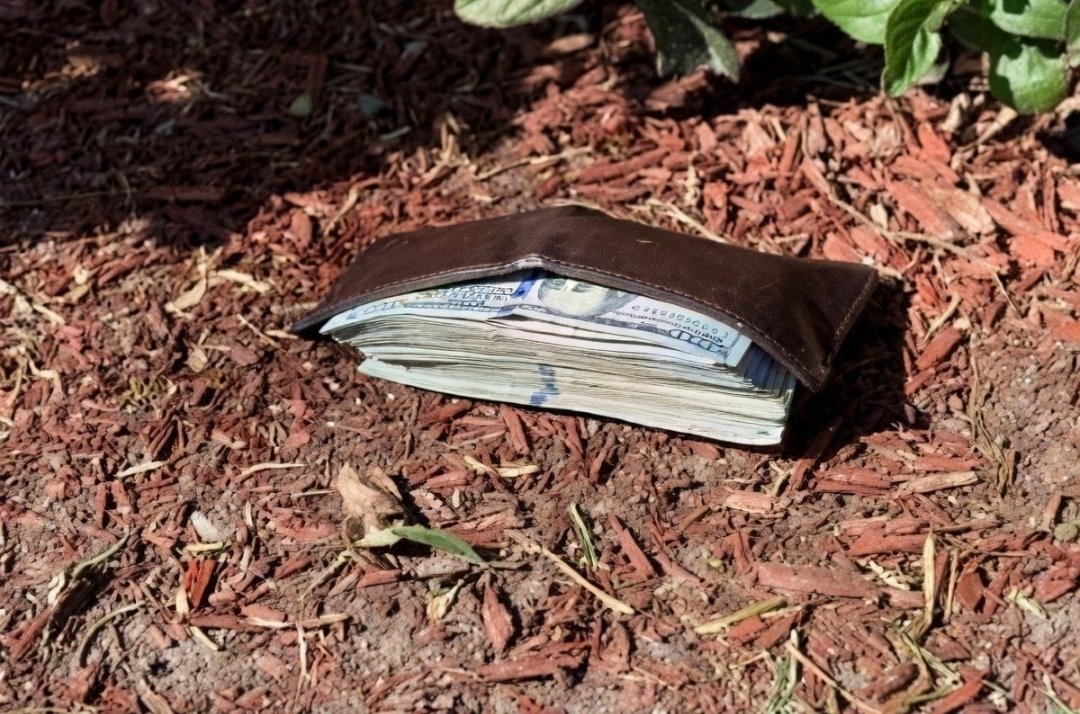 SolidKroket tweet media