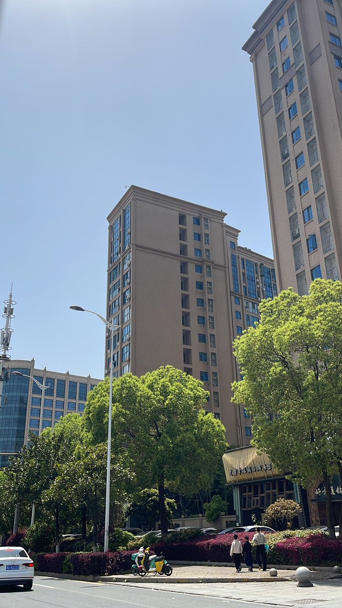 痞子🕊️ tweet media