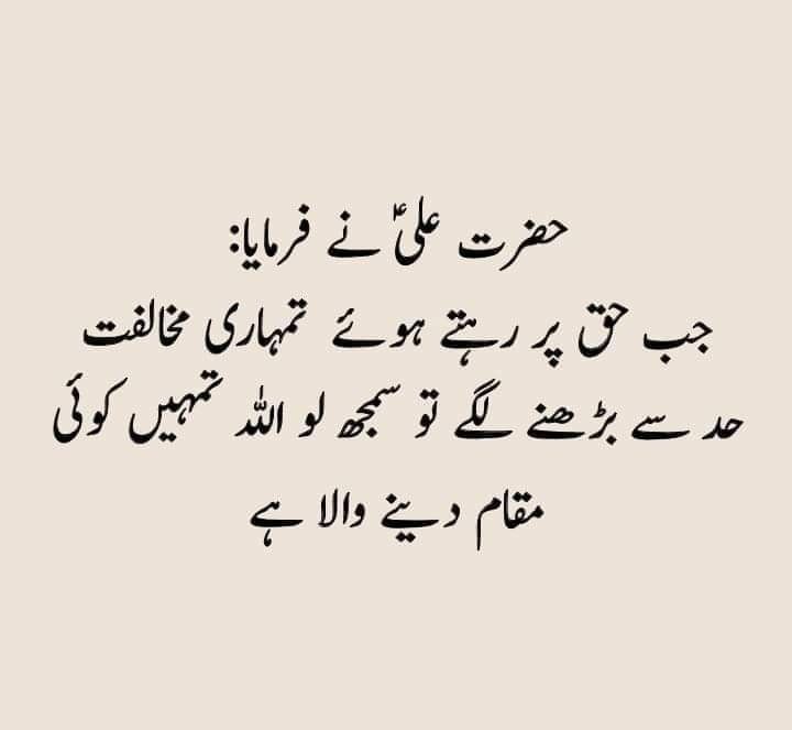 Sadia Rajpoot ⚡ tweet media