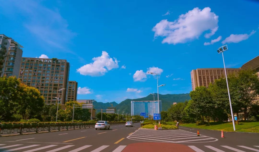 Leonor Rodriguez tweet media