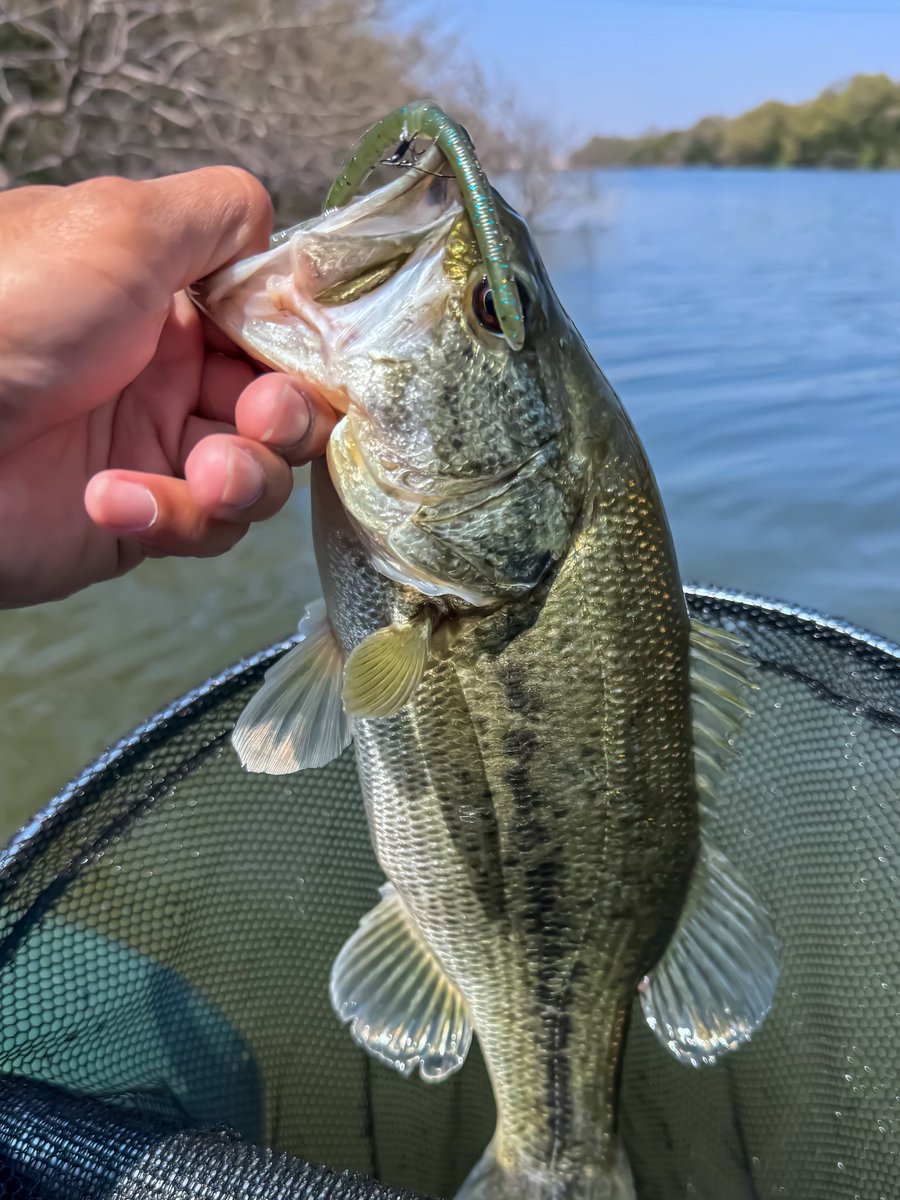 YukiyaAngler tweet media