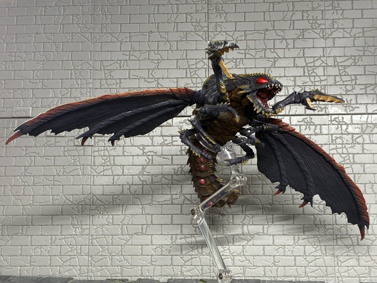 五島純 tweet media