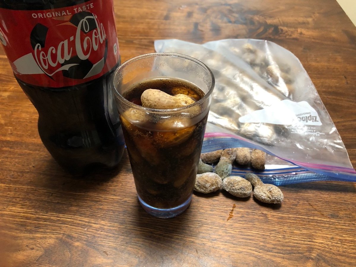 犬のご飯 tweet media