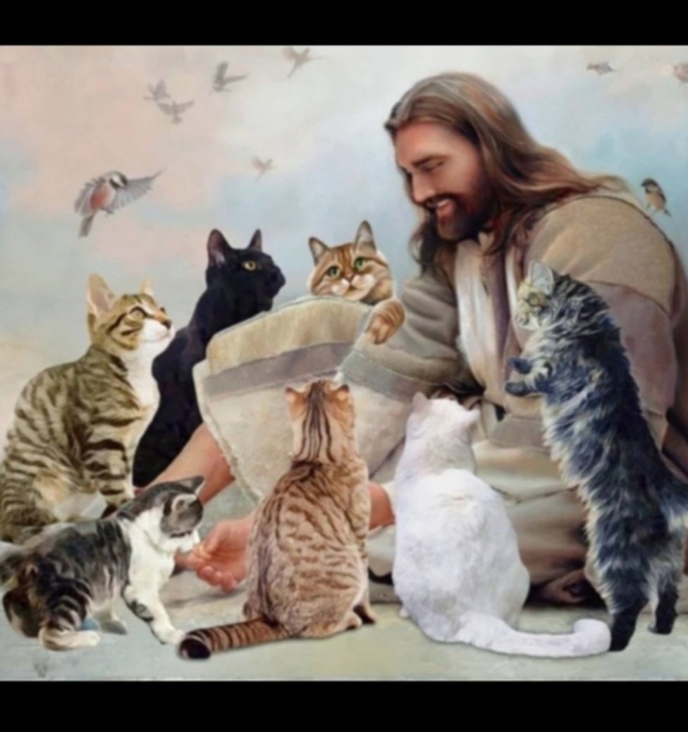 Mehtahnae tweet media