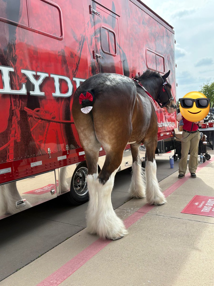 AKAcassius(カヤwithカシアス) tweet media