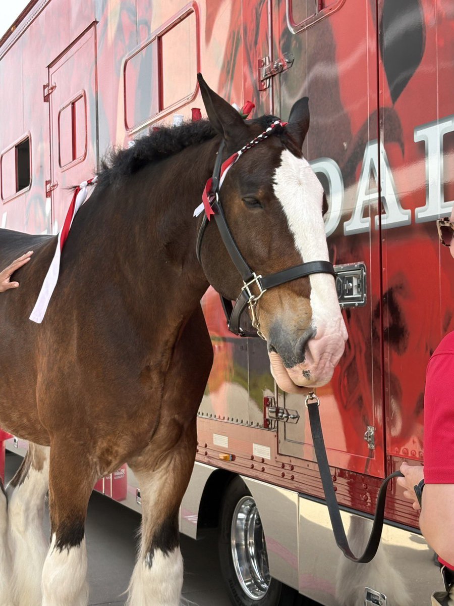 AKAcassius(カヤwithカシアス) tweet media