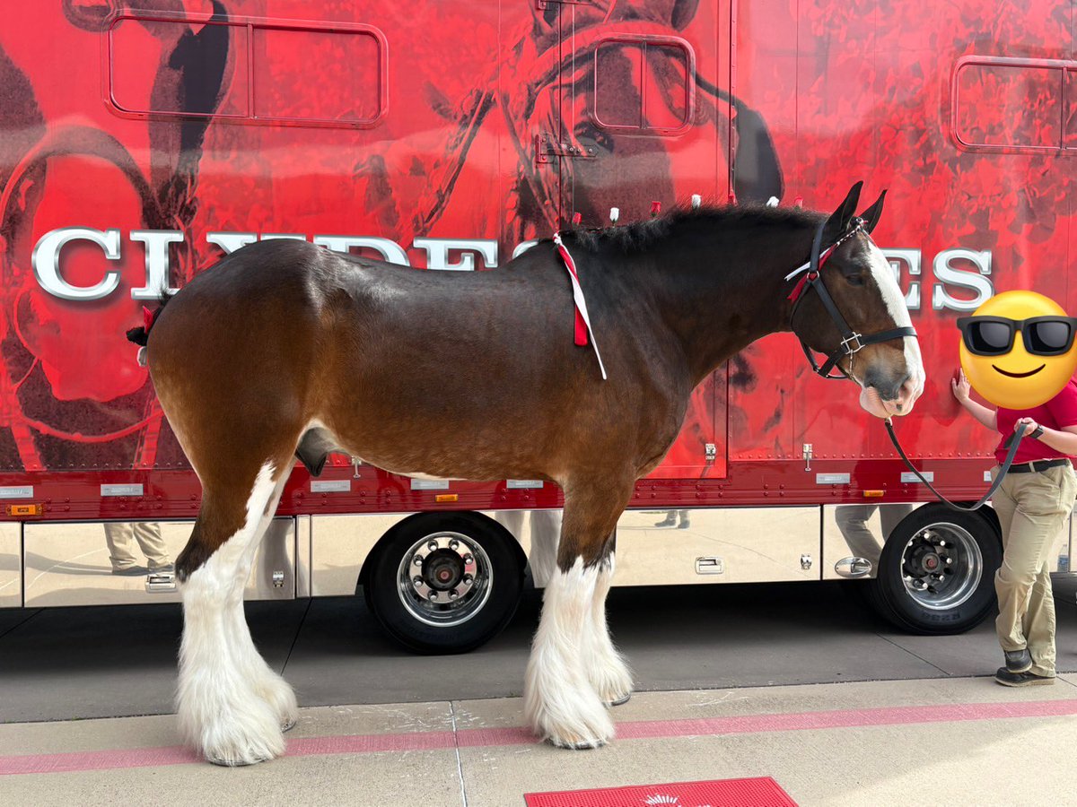 AKAcassius(カヤwithカシアス) tweet media