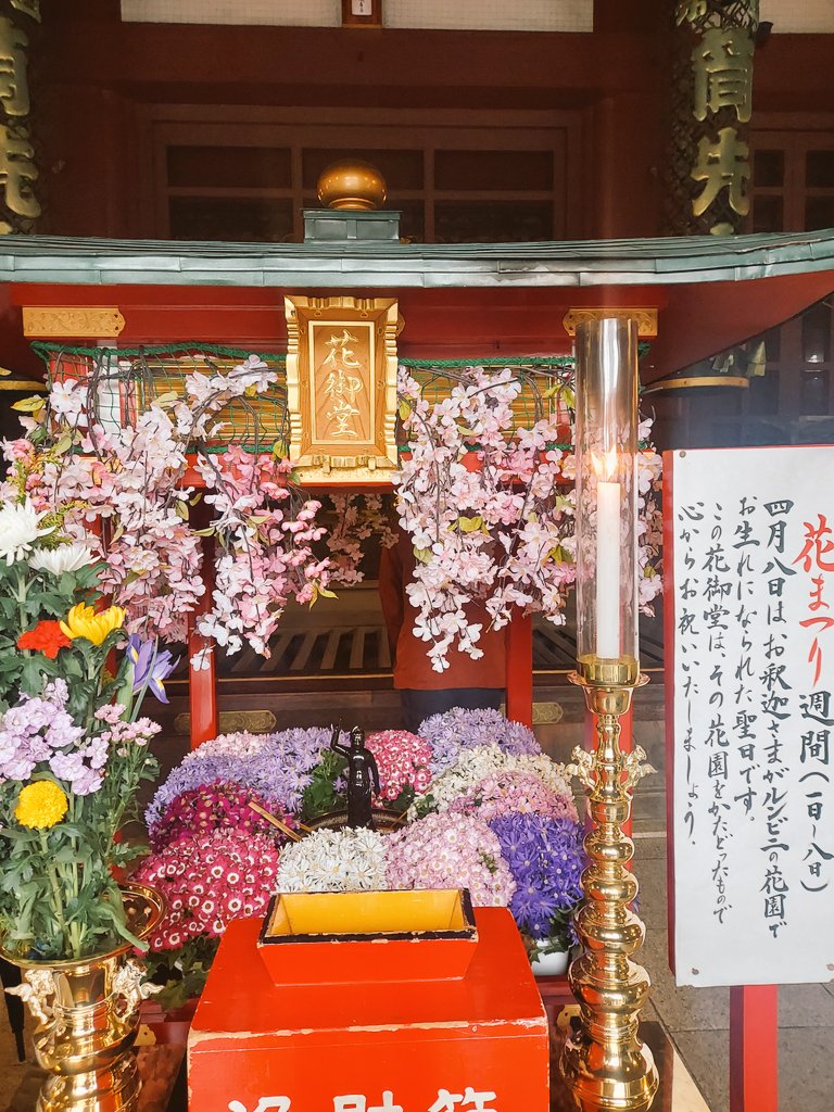 🌻青空🌻 tweet media