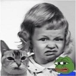 I Spy with my little eye…. tweet media