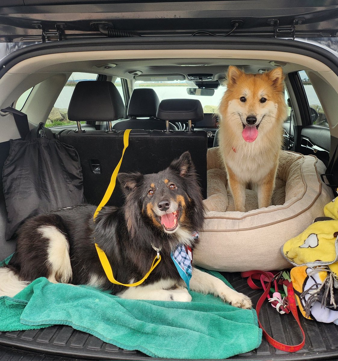 오늘의 포춘🥠 tweet media