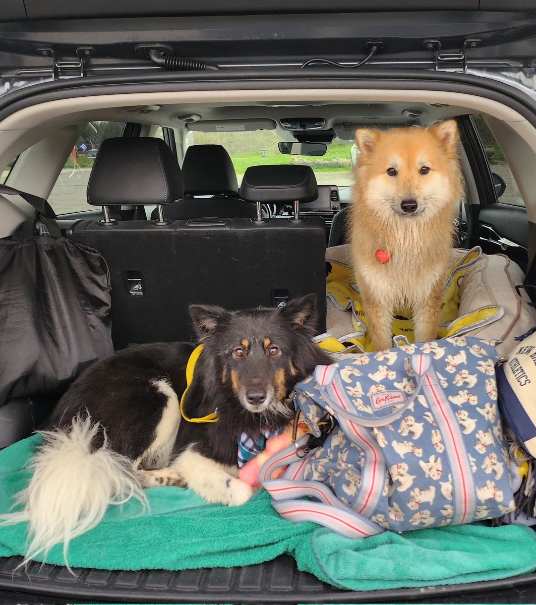 오늘의 포춘🥠 tweet media