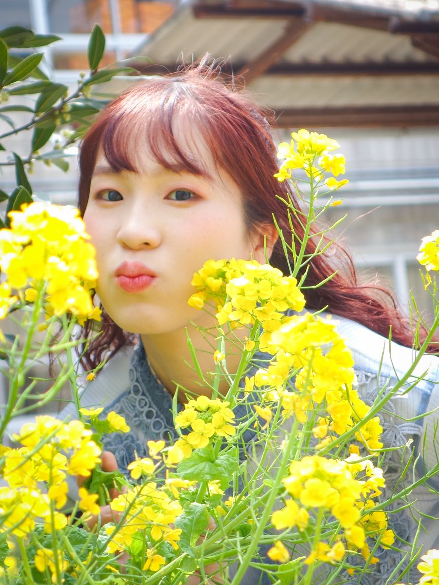 やべあい tweet media