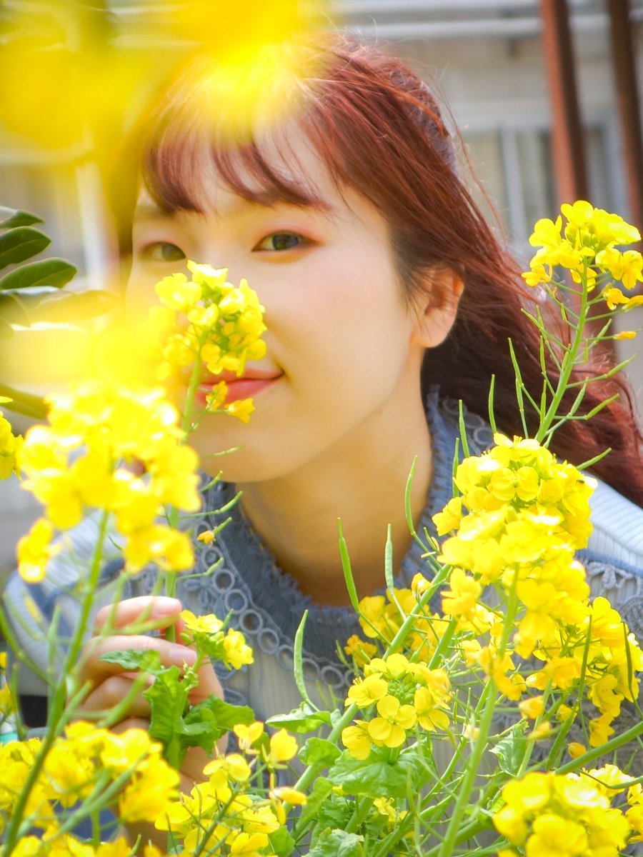 やべあい tweet media